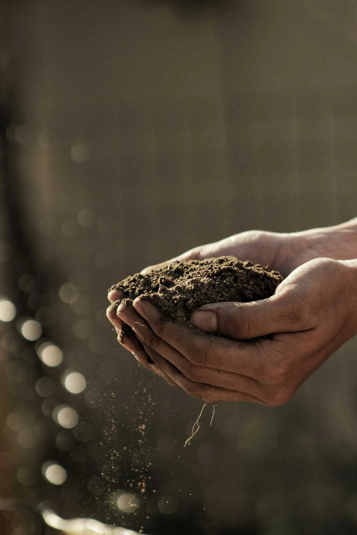 soil-2-gabriel-jimenez-jin4W1HqgL4-unsplash soil-2-gabriel-jimenez-jin4W1HqgL4-unsplash